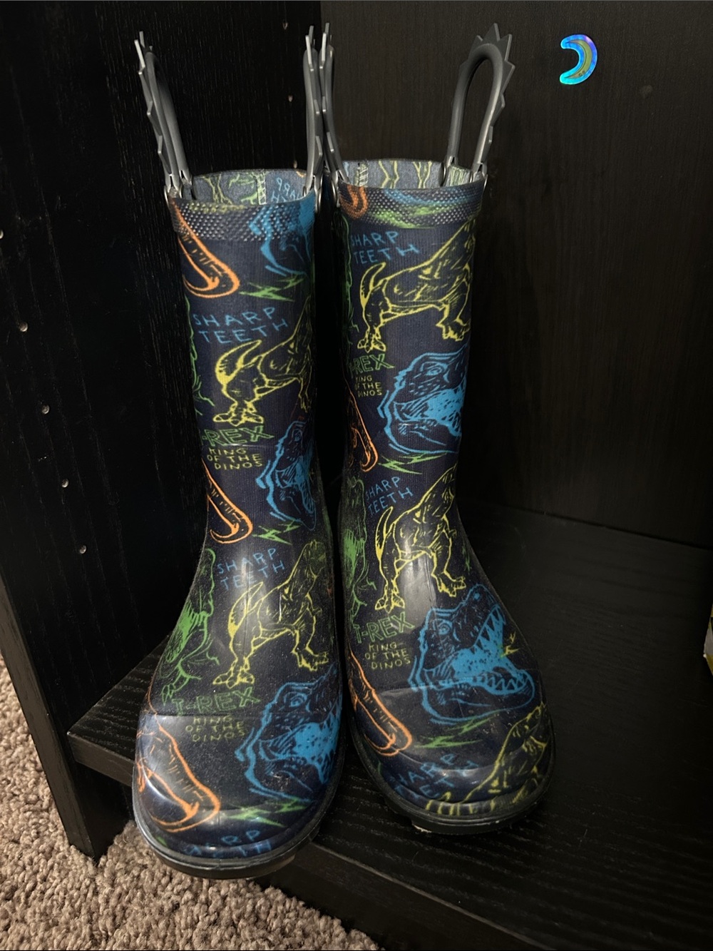 Kids' Dinosaur Rain & Snow Boots - Multicolor